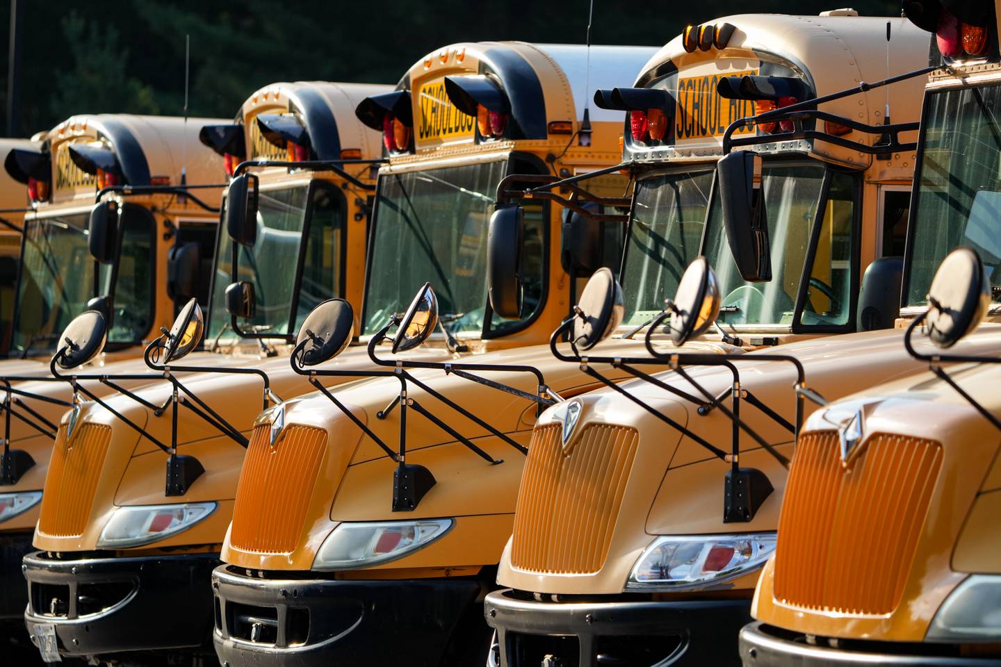 Baltimore City school buses.