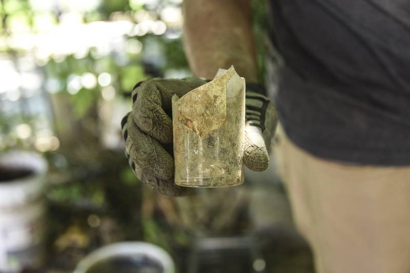 A shard of a French cologne bottle excavated from the Orchard Street privy.