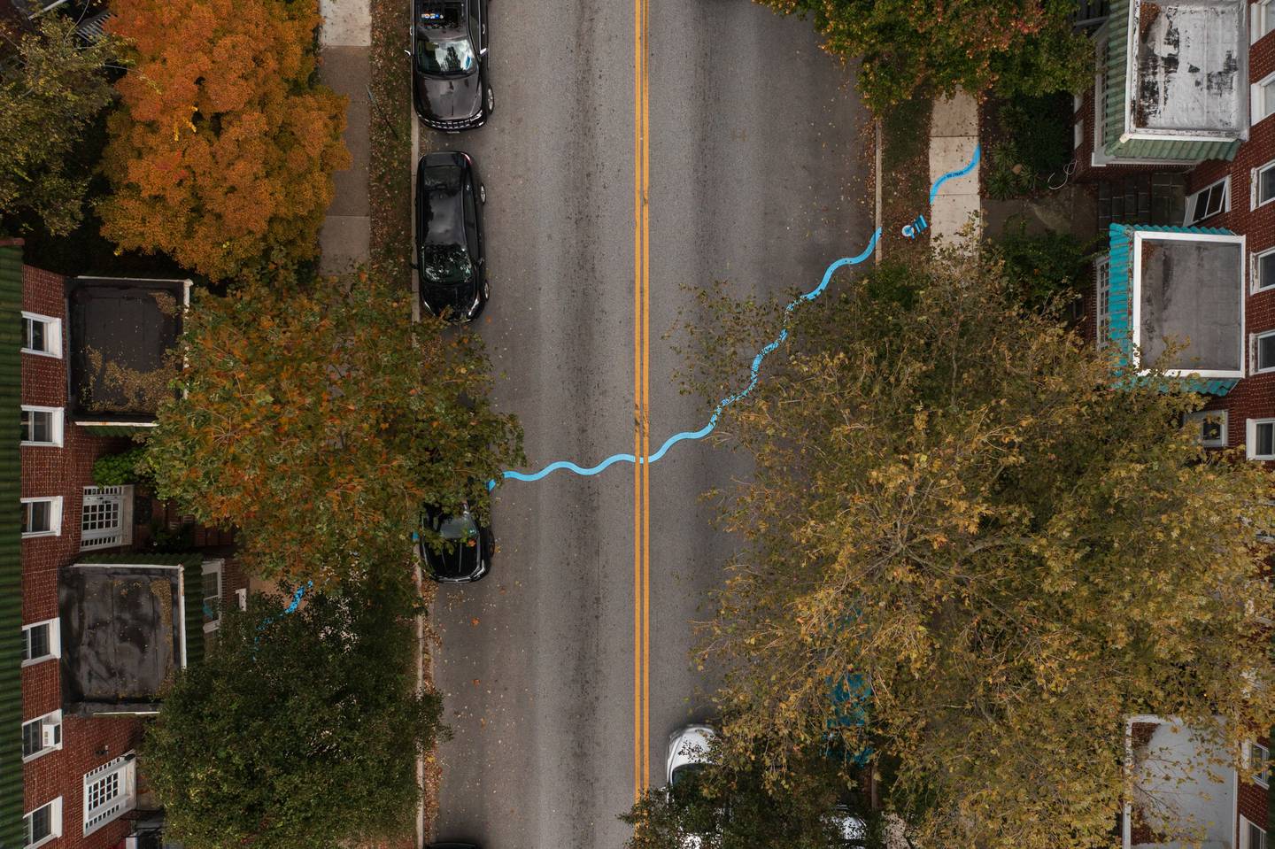 A bird's eye view of a city street, lined with trees and cars, with a blue thermoplastic line squiggling across the road as part of an art installation.