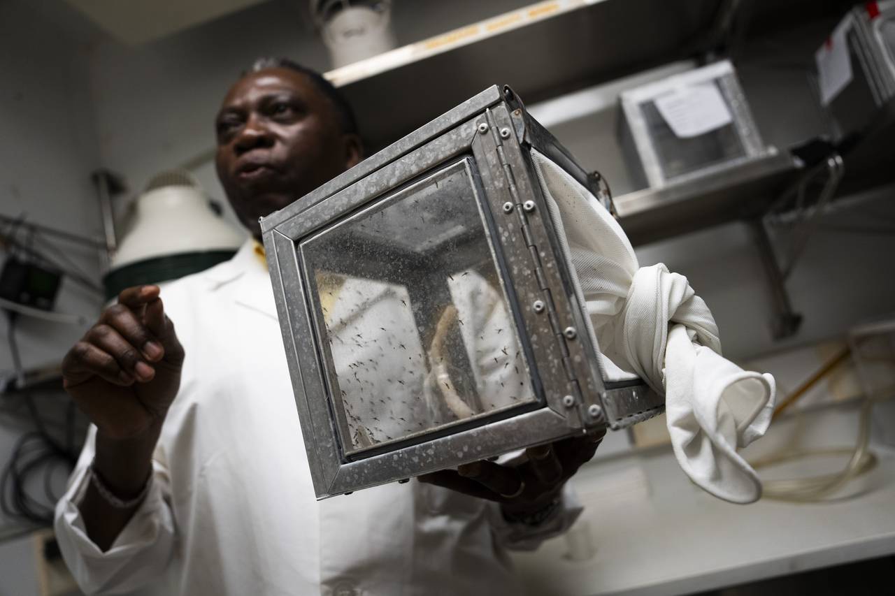 Entomologist Christopher Kizito, the facility manager at Johns Hopkins Bloomberg School of Public Health Malaria Research Institute Insectary, explains the process the mosquitos go through.