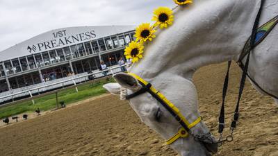 Scenes from Black-Eyed Susan Day at Pimlico Race Course