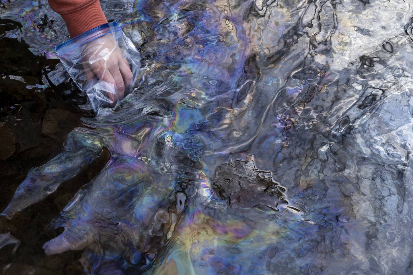 A hand covered in a plastic bag reaches into water with an oily sheen on the surface.