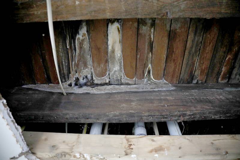 Records show a Baltimore nonprofit housing provider stopped paying tenants’ rents and hasn’t accounted for the money. The ceiling in the laundry room has fallen in and the wooden ceiling shows heavy water damage.