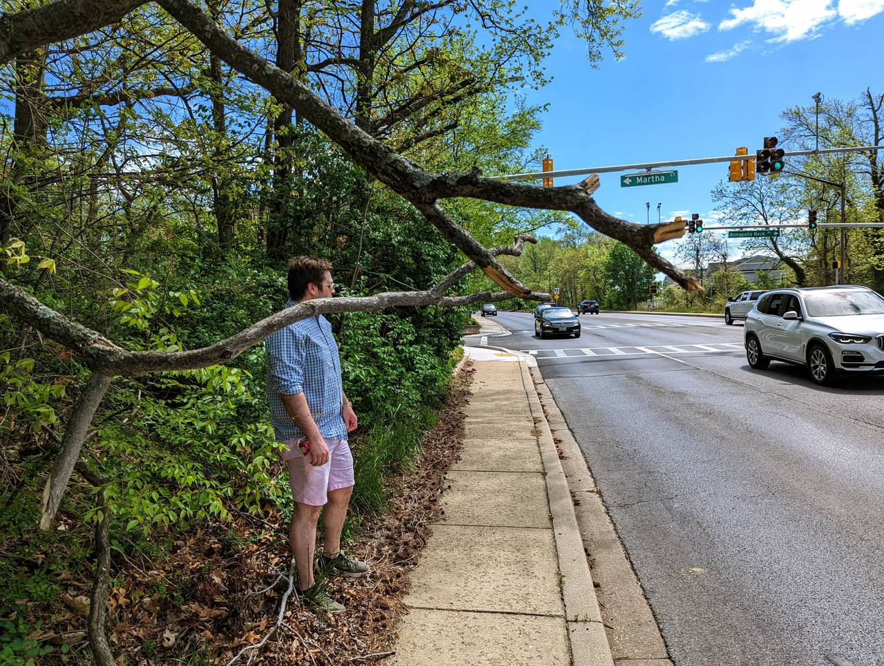 Alderman Brooks Schandelmeier watches a lull in traffic on Forest Drive from a sidewalk obstructed by a fallen branch.