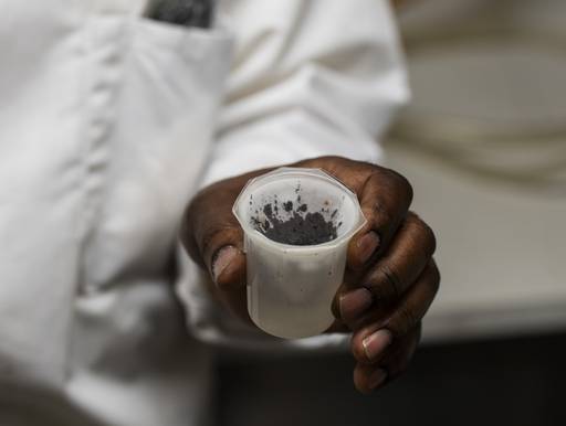 Entomologist Christopher Kizito, the facility manager at  Johns Hopkins Bloomberg School of Public Health Malaria Research Institute Insectary, holds a cup of mosquito eggs.
