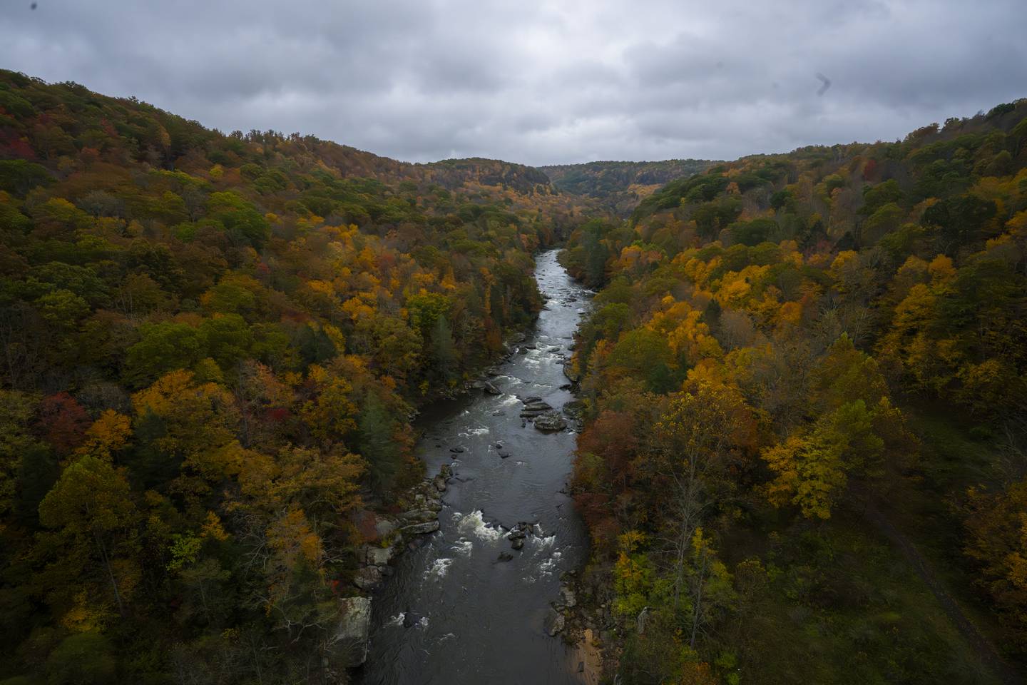 Fall foilage is at its peak during the third weekend of October in West Virginia.