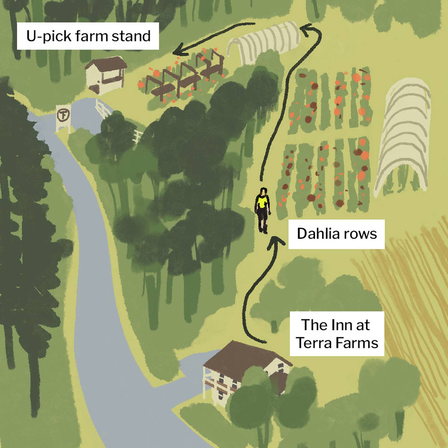 Illustrated map shows a farm along a country road, seen from the air. In the bottom of the map is a white building labeled the Inn at Terra Farms. A small figure walks up from the inn along some trees past rows of dahlia flowers and a grow tunnel. An arrow shows the path up and around the trees past another grow tunnel and flowers to a you-pick farm stand.