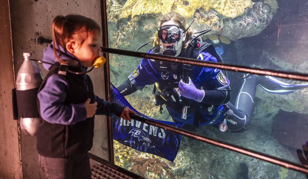 Paxton Suggs, 2, wears a scuba diver costume complete with a bottle "oxygen tank" as she watches Emily Kelly inside the tank.