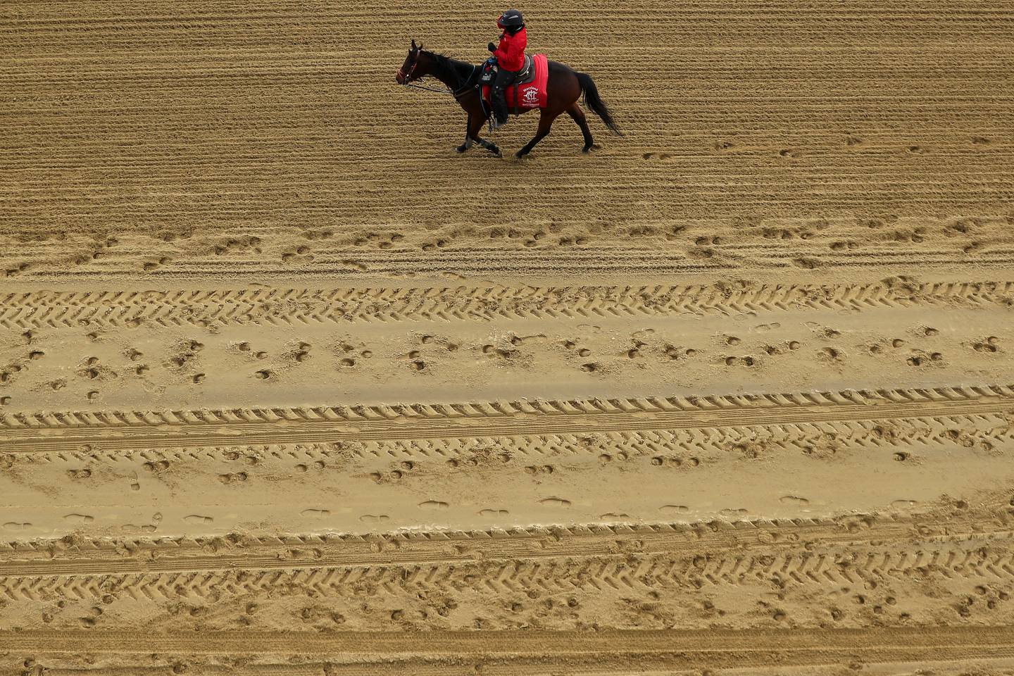 LAUREL, MARYLAND - MARCH 15: A outrider walks the track as horses and jockeys prepare to race without spectators at Laurel Park on March 15, 2020 in Laurel, Maryland. Nearly all of professional sports have been canceled or postposed because of the Coronavirus pandemic, except for horse racing. However, today Maryland Gov. Larry Hogan issued an emergency order to close all Maryland casinos, racetracks, and simulcast betting facilities to the general public due to COVID-19.